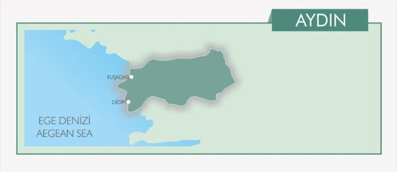 Türkiye'nin mavi bayraklı plajları: 2022 yılı güncel listesi (En iyi sahiller ve plajlar)