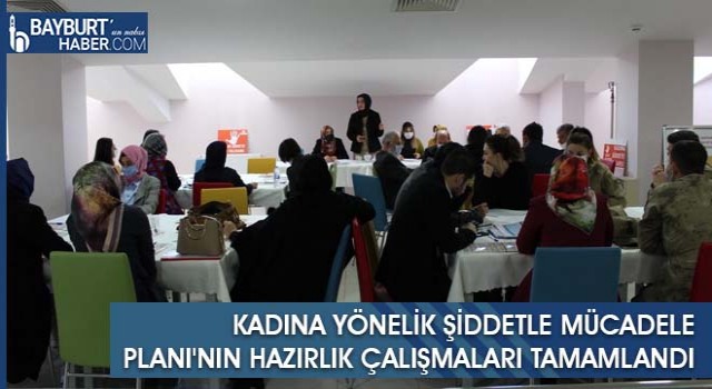 Kadına Yönelik Şiddetle Mücadele Planı'nın Hazırlık Çalışmaları Tamamlandı