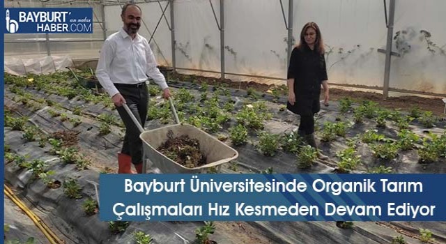 Bayburt Üniversitesinde Organik Tarım Çalışmaları Hız Kesmeden Devam Ediyor