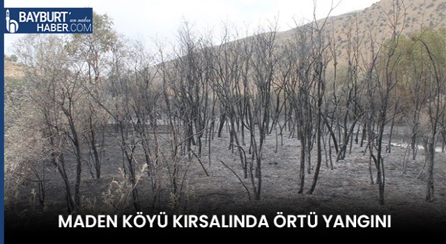 Maden Köyü Kırsalında Örtü Yangını