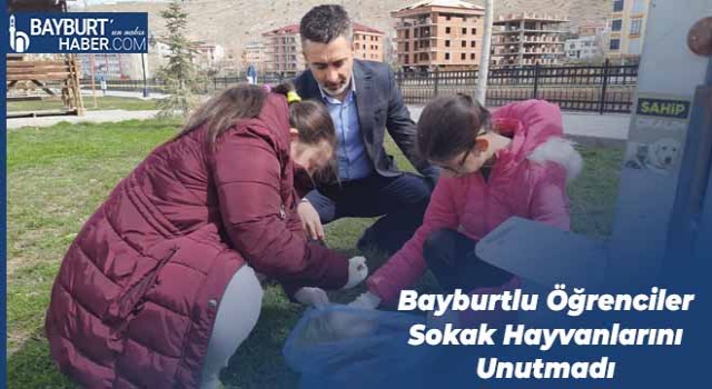 Bayburtlu Öğrenciler Sokak Hayvanlarını Unutmadı