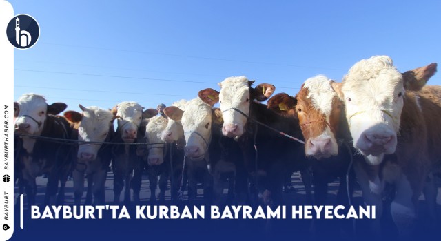 Bayburt'ta Kurban Bayramı Heyecanı