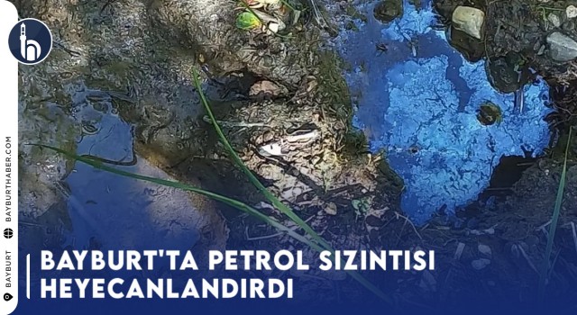 Bayburt'ta Petrol Sızıntısı Heyecanlandırdı