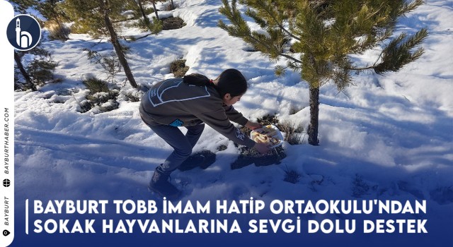 Bayburt TOBB İmam Hatip Ortaokulu'ndan Sokak Hayvanlarına Sevgi Dolu Destek