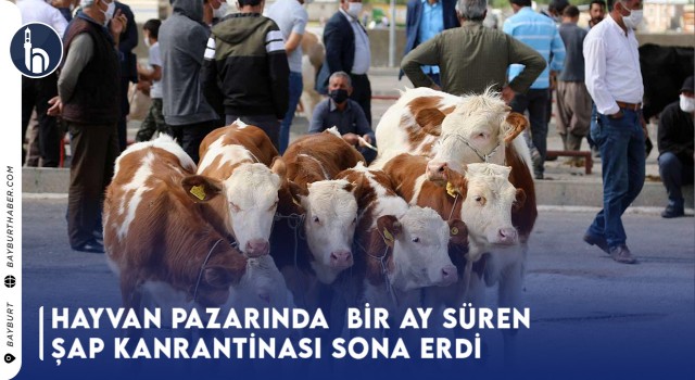 Hayvan Pazarında Bir Ay Süren Şap Kanrantinası Sona Erdi