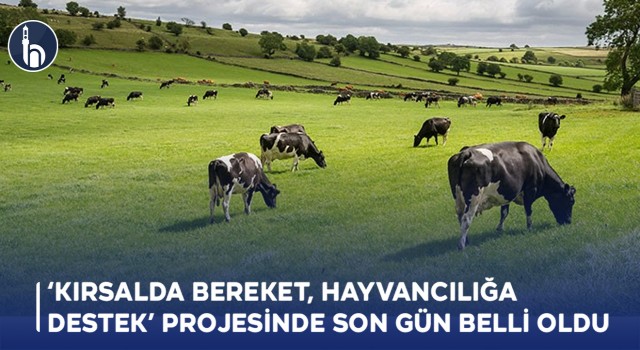 ‘Kırsalda Bereket, Hayvancılığa Destek’ Projesinde Son gün Belli Oldu!