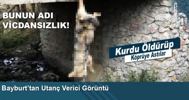 Bayburt’tan Utanç Verici Görüntü