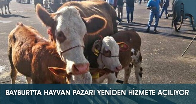 Bayburt'ta Hayvan Pazarı Yeniden Hizmete Açılıyor