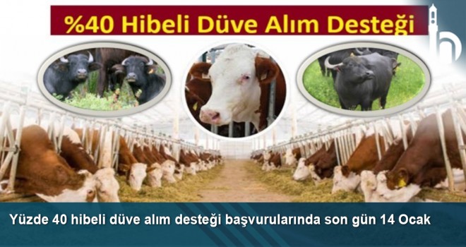 Yüzde 40 hibeli düve alım desteği başvurularında son gün 14 Ocak