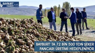 Bayburt' ta 72 Bin 500 Ton Şeker Pancarı Üretimi Hedefleniyor