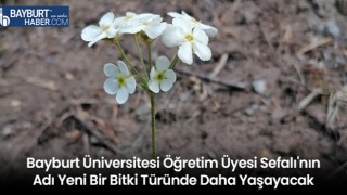 Bayburt Üniversitesi Öğretim Üyesi Sefalı'nın Adı Yeni Bir Bitki Türünde Daha Yaşayacak