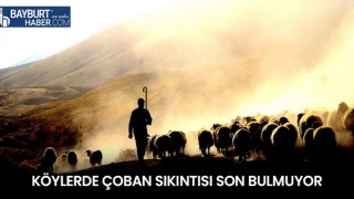 Köylerde Çoban Sıkıntısı Son Bulmuyor