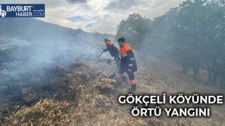 Gökçeli Köyünde Örtü Yangını