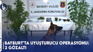 Bayburt'ta Uyuşturucu Operasyonu: 2 Gözaltı