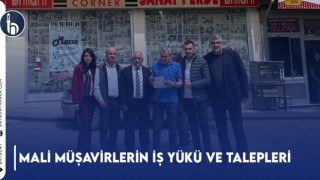 Mali Müşavirlerin İş Yükü ve Talepleri