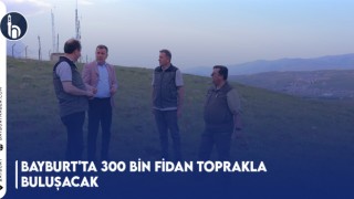 Bayburt'ta 300 Bin Fidan Toprakla Buluşacak