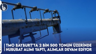 TMO Bayburt’ta 2 Bin 500 Tonun Üzerinde Hububat Alımı Yaptı, Alımlar Devam Ediyor