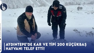 Aydıntepe’de Kar ve Tipi 200 Küçükbaş Hayvanı Telef Etti!