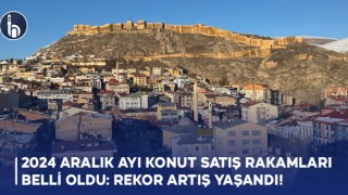 2024 Aralık Ayı Konut Satış Rakamları Belli Oldu: Rekor Artış Yaşandı!