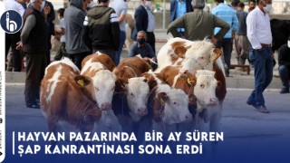 Hayvan Pazarında Bir Ay Süren Şap Kanrantinası Sona Erdi