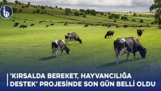 ‘Kırsalda Bereket, Hayvancılığa Destek’ Projesinde Son gün Belli Oldu!