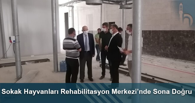 Sokak Hayvanları Rehabilitasyon Merkezi’nde Sona Doğru