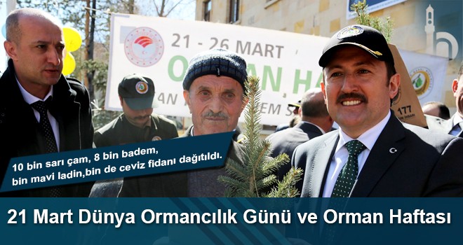 Dünya Ormancılık Günü ve Orman Haftası