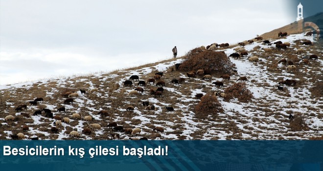 Besicilerin Kış Çilesi Başladı!