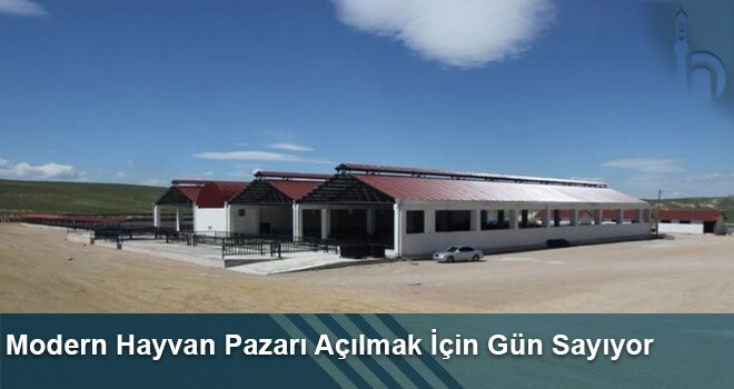 Modern Hayvan Pazarı Açılmak İçin Gün Sayıyor