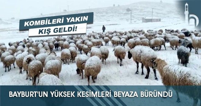 Bayburt'un Yüksek Kesimleri Beyaza Büründü