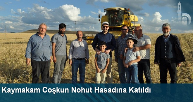 Kaymakam Coşkun Nohut Hasadına Katıldı