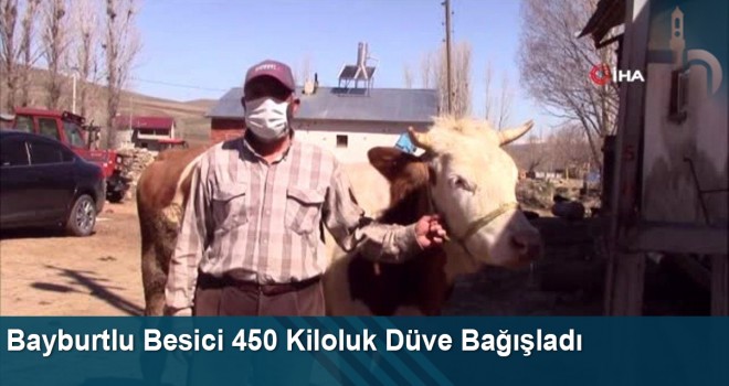 Bayburtlu Besici 'Milli Dayanışma Kampanyası'na 450 Kiloluk Düve Bağışladı