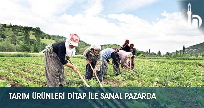 Tarım Ürünleri DİTAP ile Sanal Pazarda