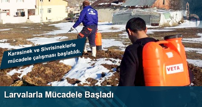 Larvalarla Mücadele Başladı