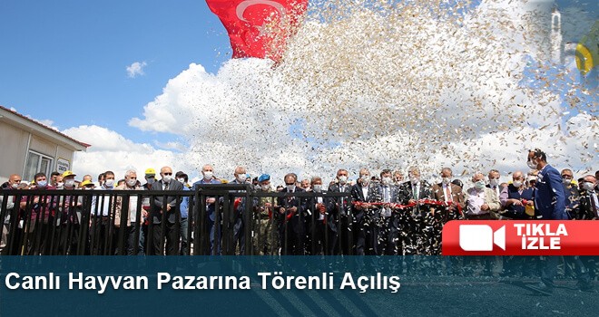 Canlı Hayvan Pazarına Törenli Açılış