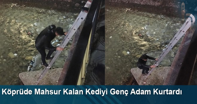 Köprüde mahsur kalan kediyi genç adam kurtardı