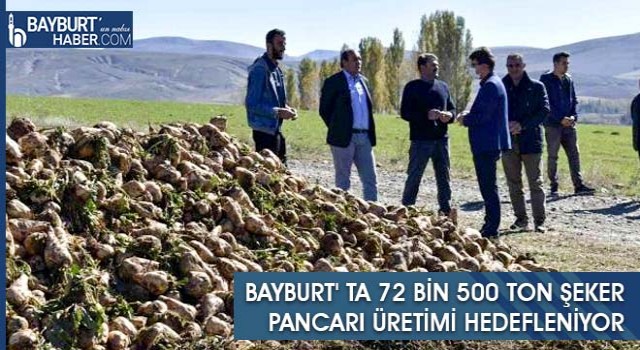 Bayburt' ta 72 Bin 500 Ton Şeker Pancarı Üretimi Hedefleniyor