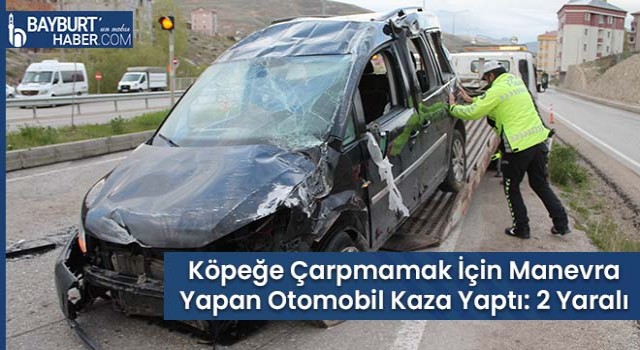 Köpeğe Çarpmamak İçin Manevra Yapan Otomobil Kaza Yaptı: 2 Yaralı