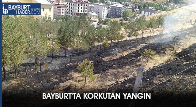 Bayburt'ta Korkutan Yangın