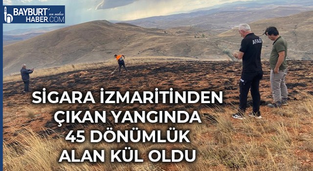 Sigara İzmaritinden Çıkan Yangında 45 Dönümlük Alan Kül Oldu