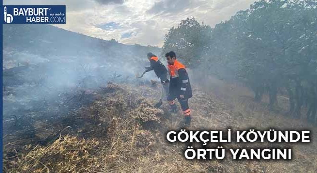 Gökçeli Köyünde Örtü Yangını