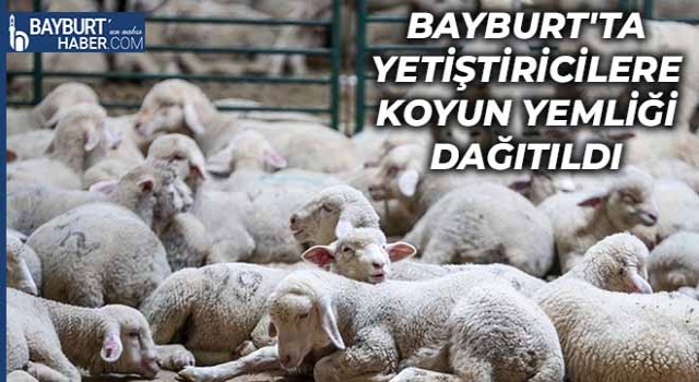 Bayburt'ta Yetiştiricilere Koyun Yemliği Dağıtıldı