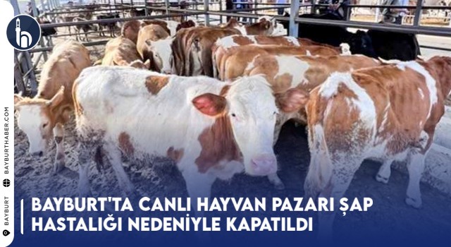 Bayburt'ta Canlı Hayvan Pazarı Şap Hastalığı Nedeniyle Kapatıldı