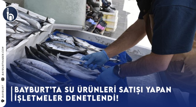 Bayburt’ta Su Ürünleri Satışı Yapan İşletmeler Denetlendi!