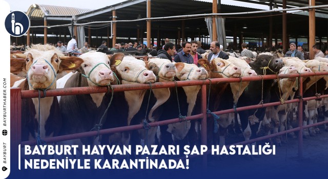 Bayburt Hayvan Pazarı Şap Hastalığı Nedeniyle Karantinada!