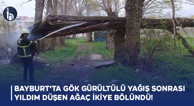 Bayburt'ta Gök Gürültülü Yağış Sonrası Yıldım Düşen Ağaç İkiye Bölündü!
