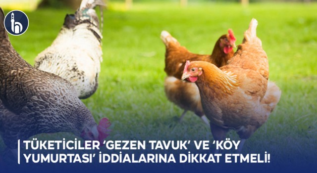 Tüketiciler ‘Gezen Tavuk’ ve ‘Köy Yumurtası’ İddialarına Dikkat Etmeli
