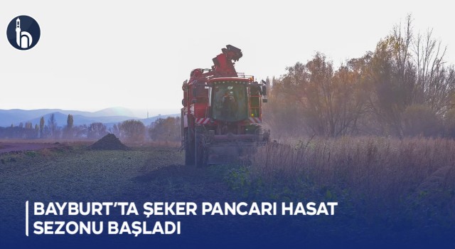 Bayburt’ta Şekerpancarı Hasat Sezonu Başladı