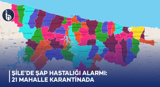 Şile’de Şap Hastalığı Alarmı: 21 Mahalle Karantinada