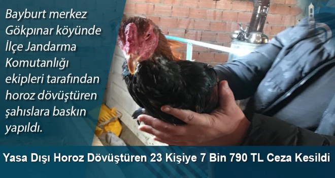 Yasa dışı horoz dövüştüren 23 kişiye 7 bin 790 TL ceza kesildi